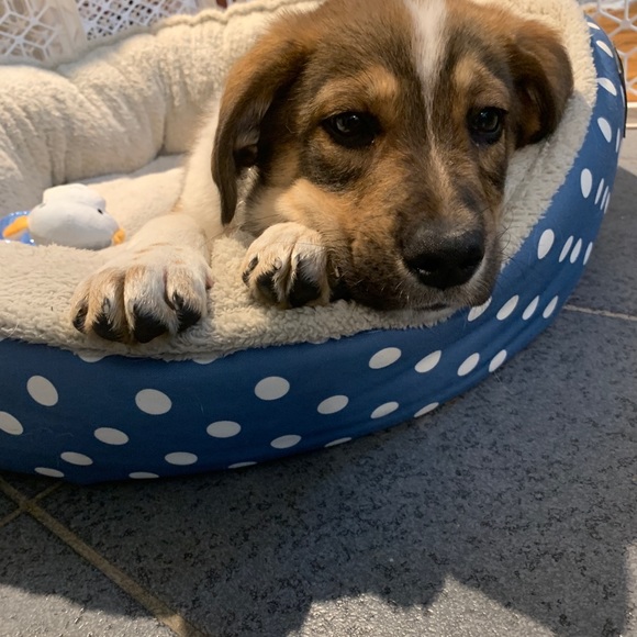 Meet the posher - Picture 4 of 5